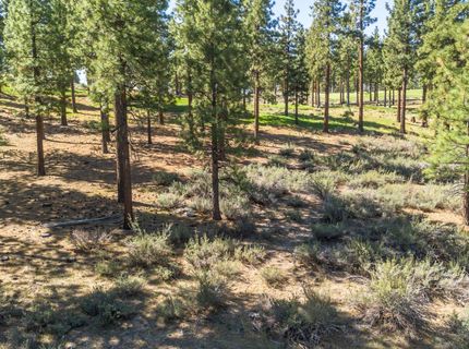 249 Redding Way, Lot #225, Carson City, NV 89705 Photo