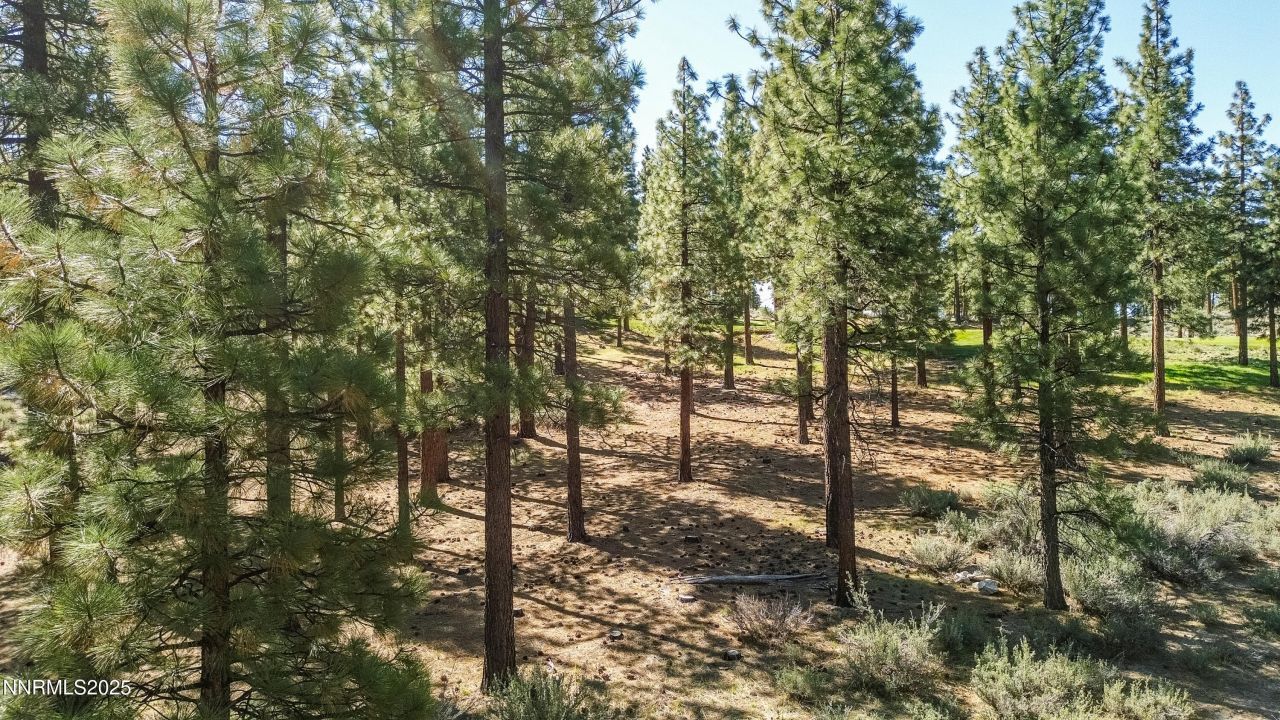 249 Redding Way, Lot #225, Carson City, NV 89705 Photo