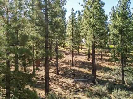 249 Redding Way, Lot #225, Carson City, NV 89705 Photo