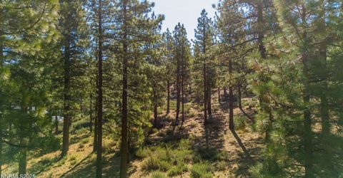 249 Redding Way, Lot #225, Carson City, NV 89705 Photo
