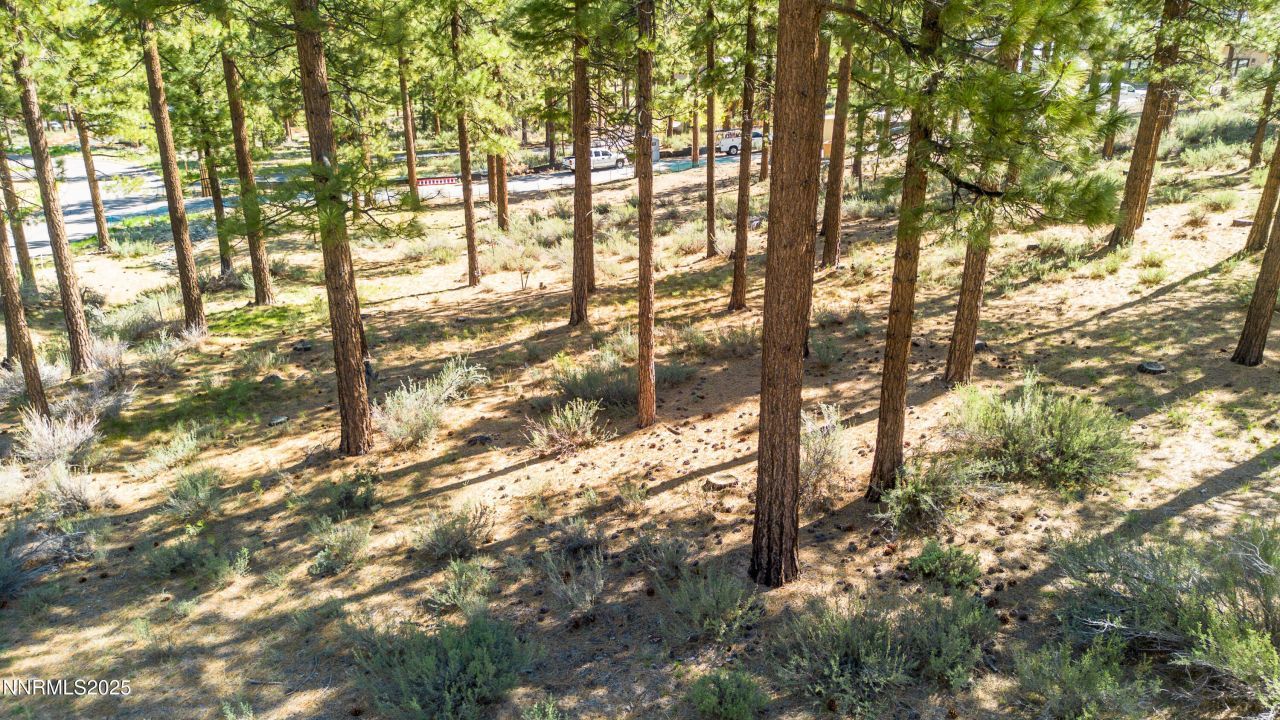 249 Redding Way, Lot #225, Carson City, NV 89705 Photo
