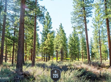 249 Redding Way, Lot #225, Carson City, NV 89705 Photo