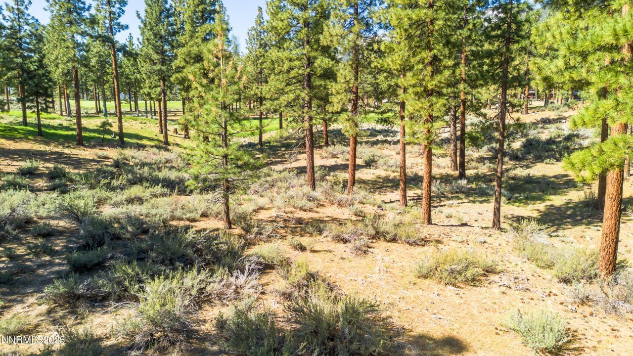 249 Redding Way, Lot #225, Carson City, NV 89705 Photo