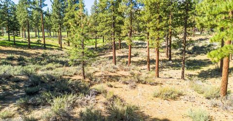 249 Redding Way, Lot #225, Carson City, NV 89705 Photo