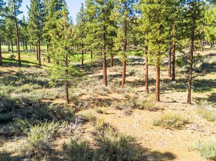 249 Redding Way, Lot #225, Carson City, NV 89705 Photo