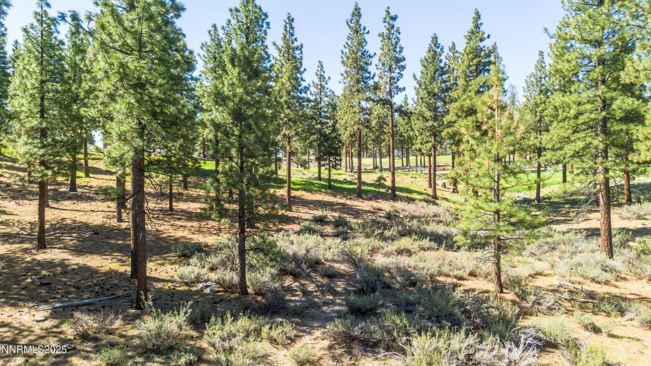 249 Redding Way, Lot #225, Carson City, NV 89705 Photo