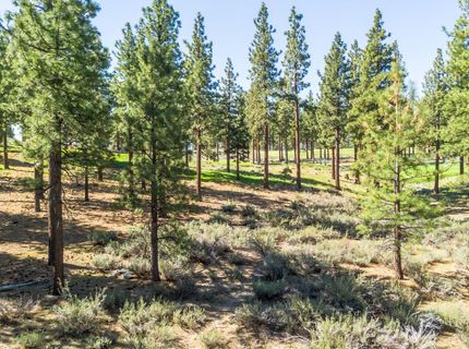 249 Redding Way, Lot #225, Carson City, NV 89705 Photo