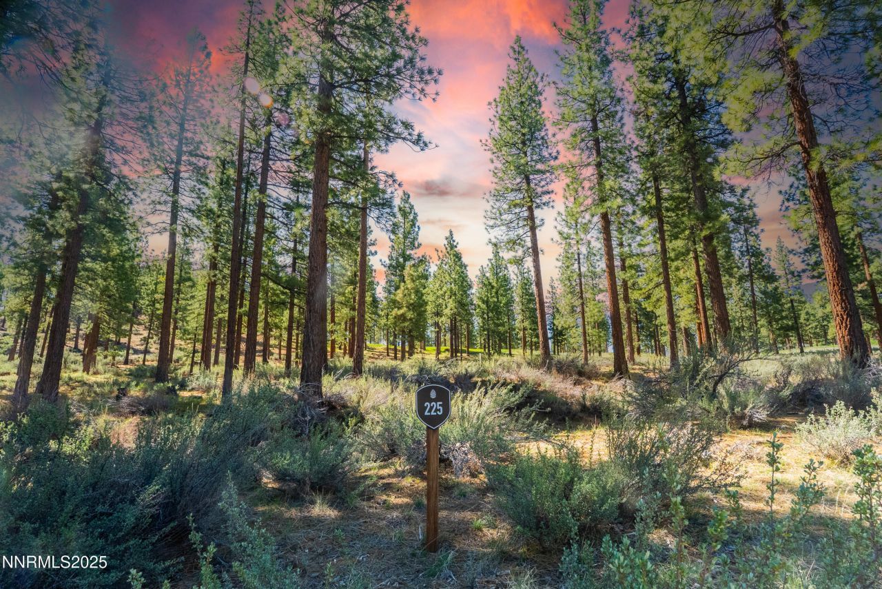 249 Redding Way, Lot #225, Carson City, NV 89705 Photo