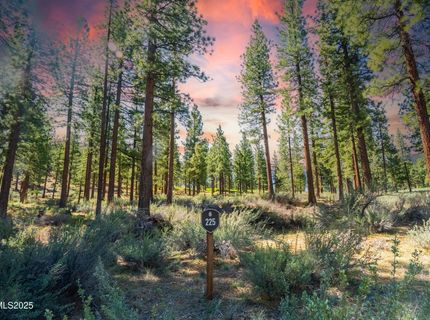 249 Redding Way, Lot #225, Carson City, NV 89705 Photo