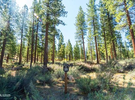 249 Redding Way, Lot #225, Carson City, NV 89705 Photo