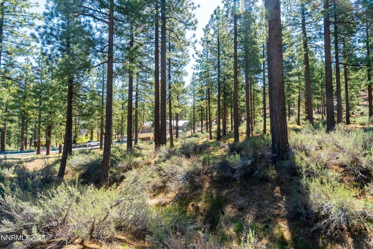 249 Redding Way, Lot #225, Carson City, NV 89705 Photo