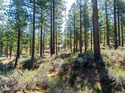 249 Redding Way, Lot #225, Carson City, NV 89705 Photo