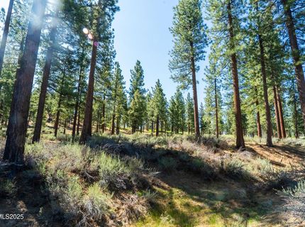 249 Redding Way, Lot #225, Carson City, NV 89705 Photo