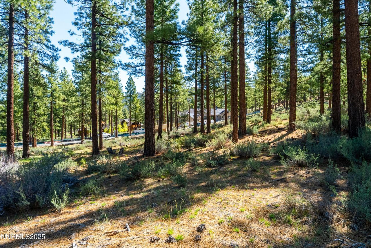 249 Redding Way, Lot #225, Carson City, NV 89705 Photo