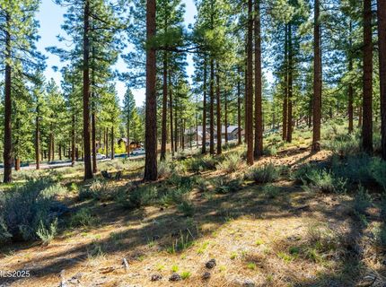 249 Redding Way, Lot #225, Carson City, NV 89705 Photo