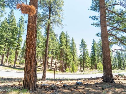 46 Boulders Bend Drive, Lot #117, Carson City, NV 89705 Photo