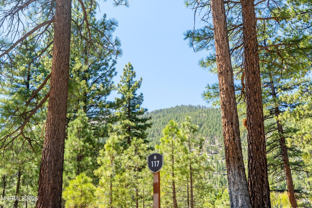 46 Boulders Bend Drive, Lot #117, Carson City, NV 89705 Photo