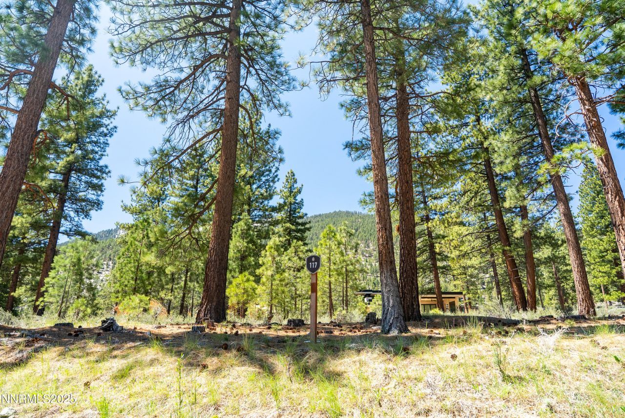 46 Boulders Bend Drive, Lot #117, Carson City, NV 89705 Photo