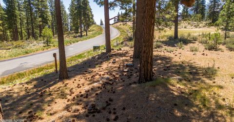 46 Boulders Bend Drive, Lot #117, Carson City, NV 89705 Photo
