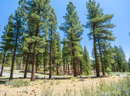 46 Boulders Bend Drive, Lot #117, Carson City, NV 89705 Photo