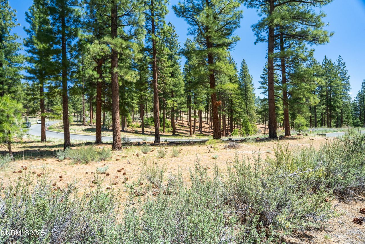 46 Boulders Bend Drive, Lot #117, Carson City, NV 89705 Photo