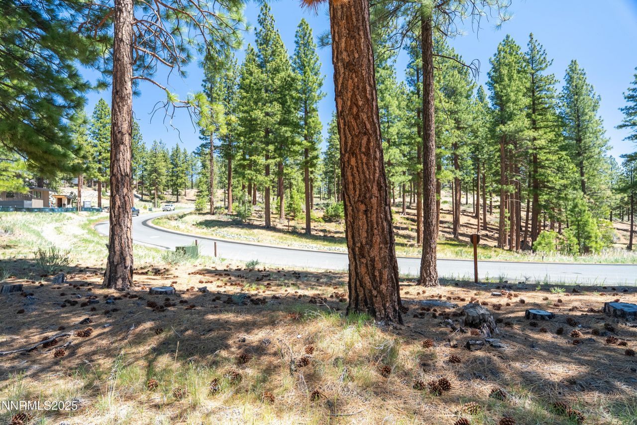 46 Boulders Bend Drive, Lot #117, Carson City, NV 89705 Photo