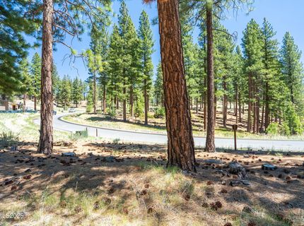 46 Boulders Bend Drive, Lot #117, Carson City, NV 89705 Photo