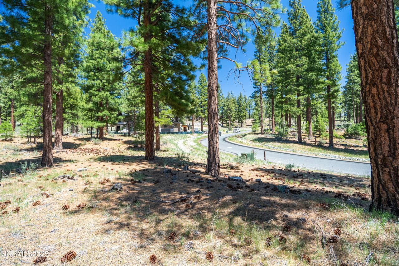 46 Boulders Bend Drive, Lot #117, Carson City, NV 89705 Photo