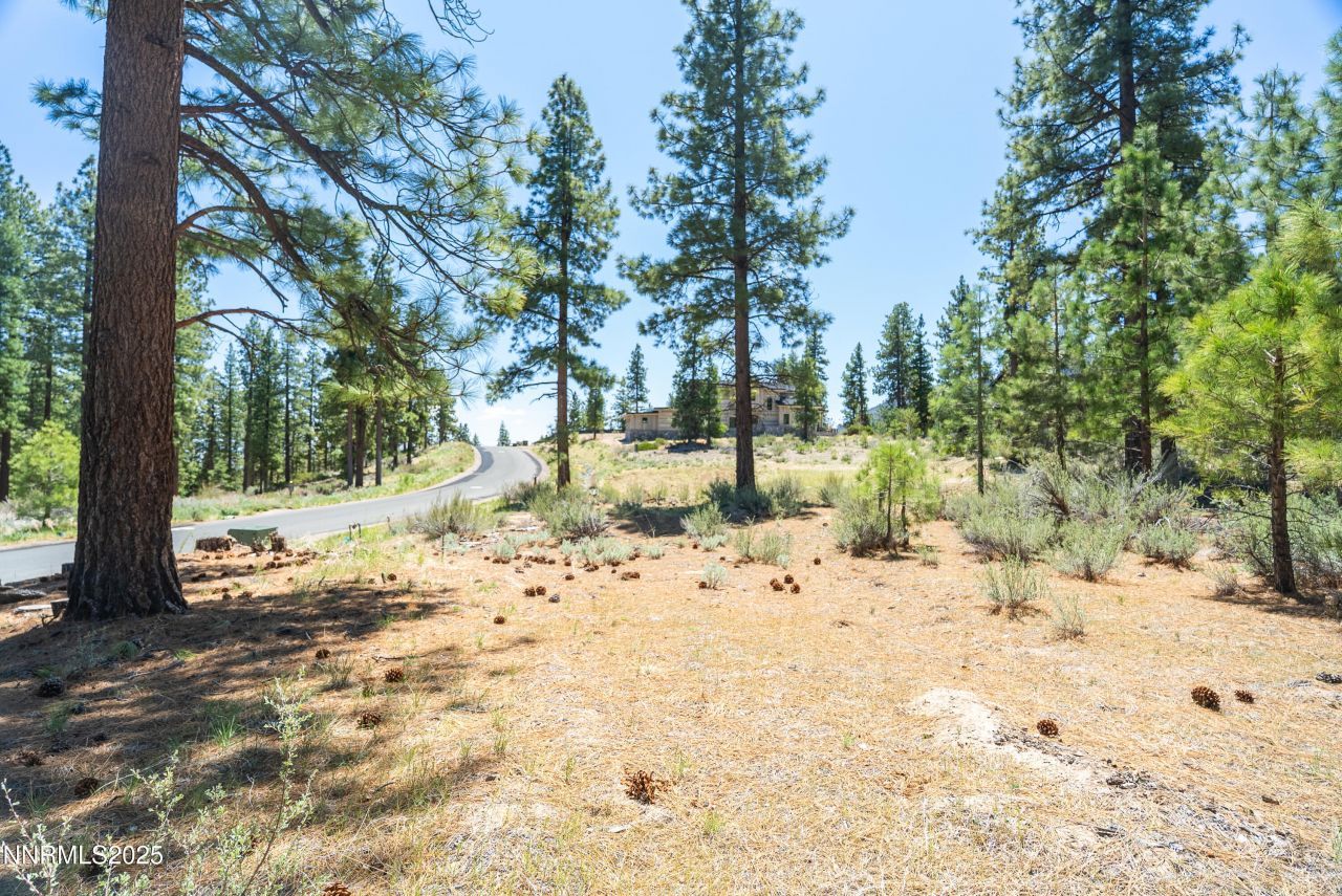 46 Boulders Bend Drive, Lot #117, Carson City, NV 89705 Photo