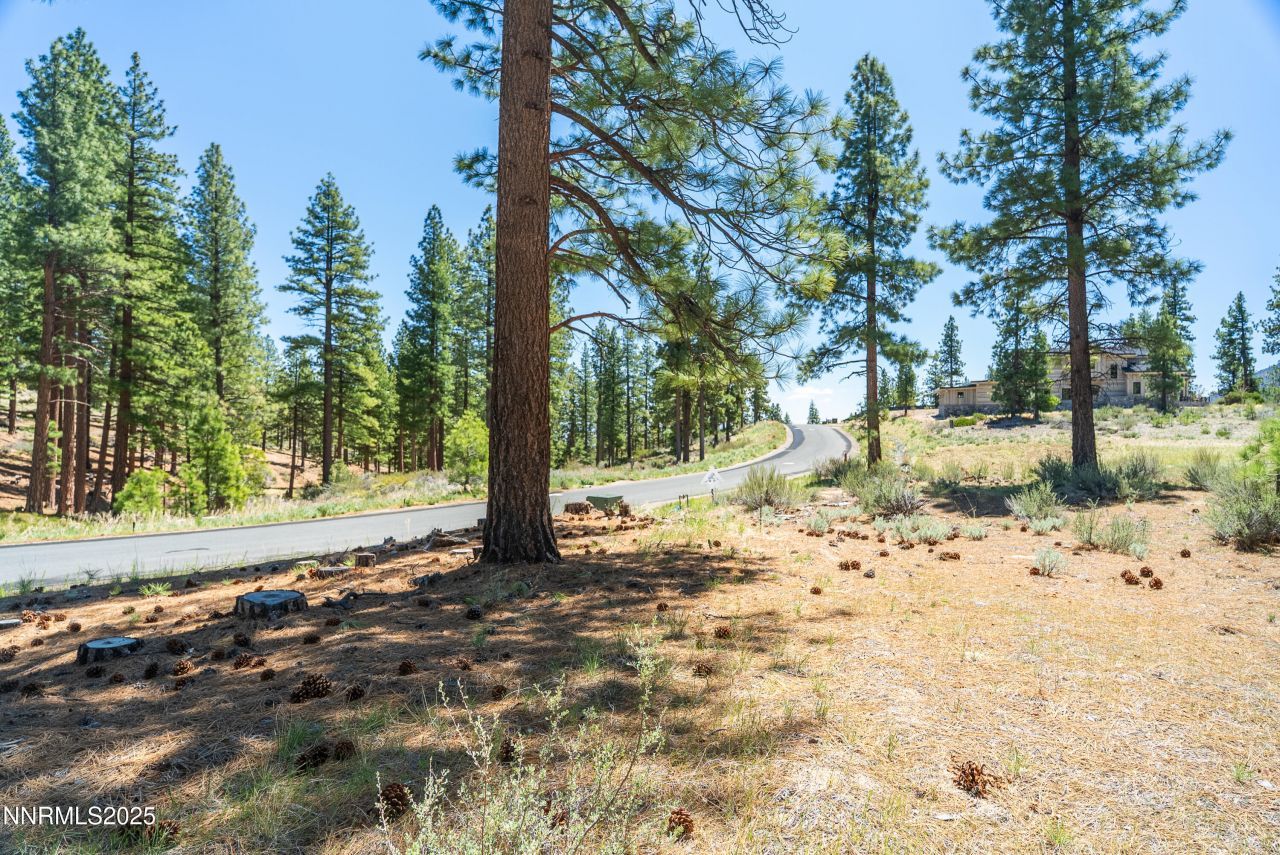 46 Boulders Bend Drive, Lot #117, Carson City, NV 89705 Photo