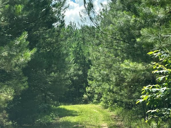 2030 Old Chipley Road, Pine Mountain, GA 31822