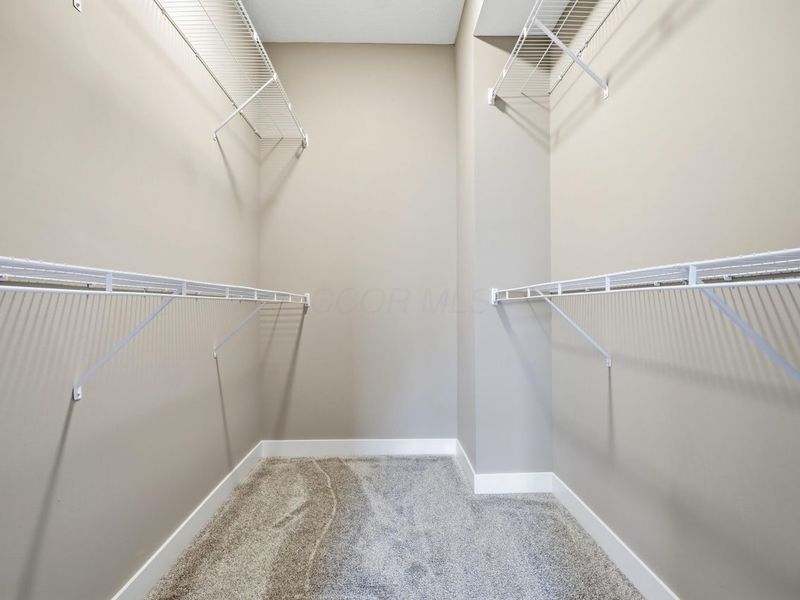 234 Silver Pine Lane, Lewis Center, OH 43035 Photo 30