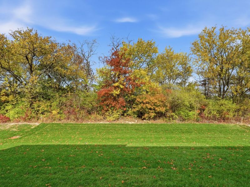 234 Silver Pine Lane, Lewis Center, OH 43035 Photo 43