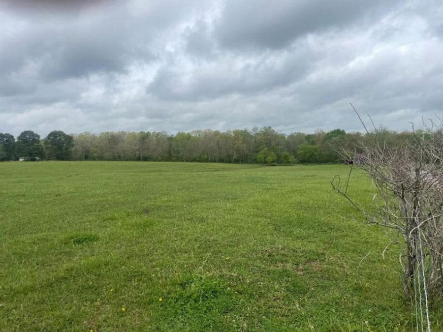 Property Image 60