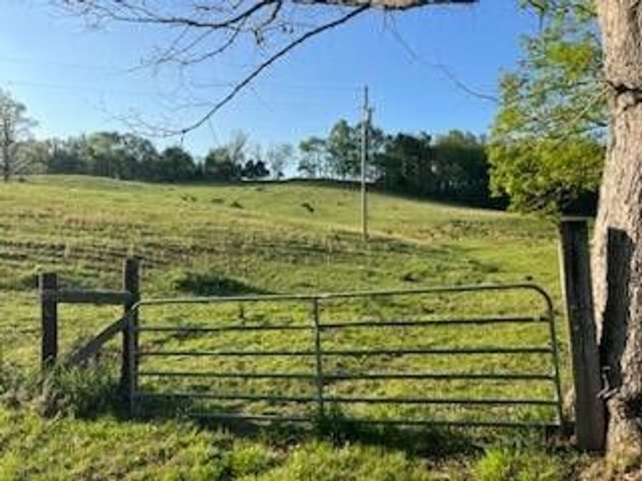 Property Image 69