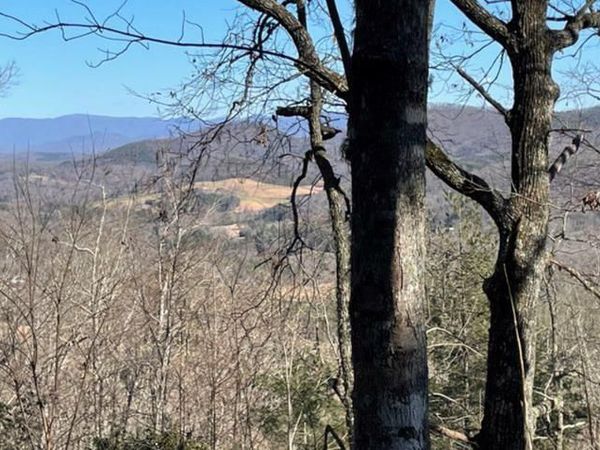 Lot 6 Wild Turkey, Young Harris, GA 30582