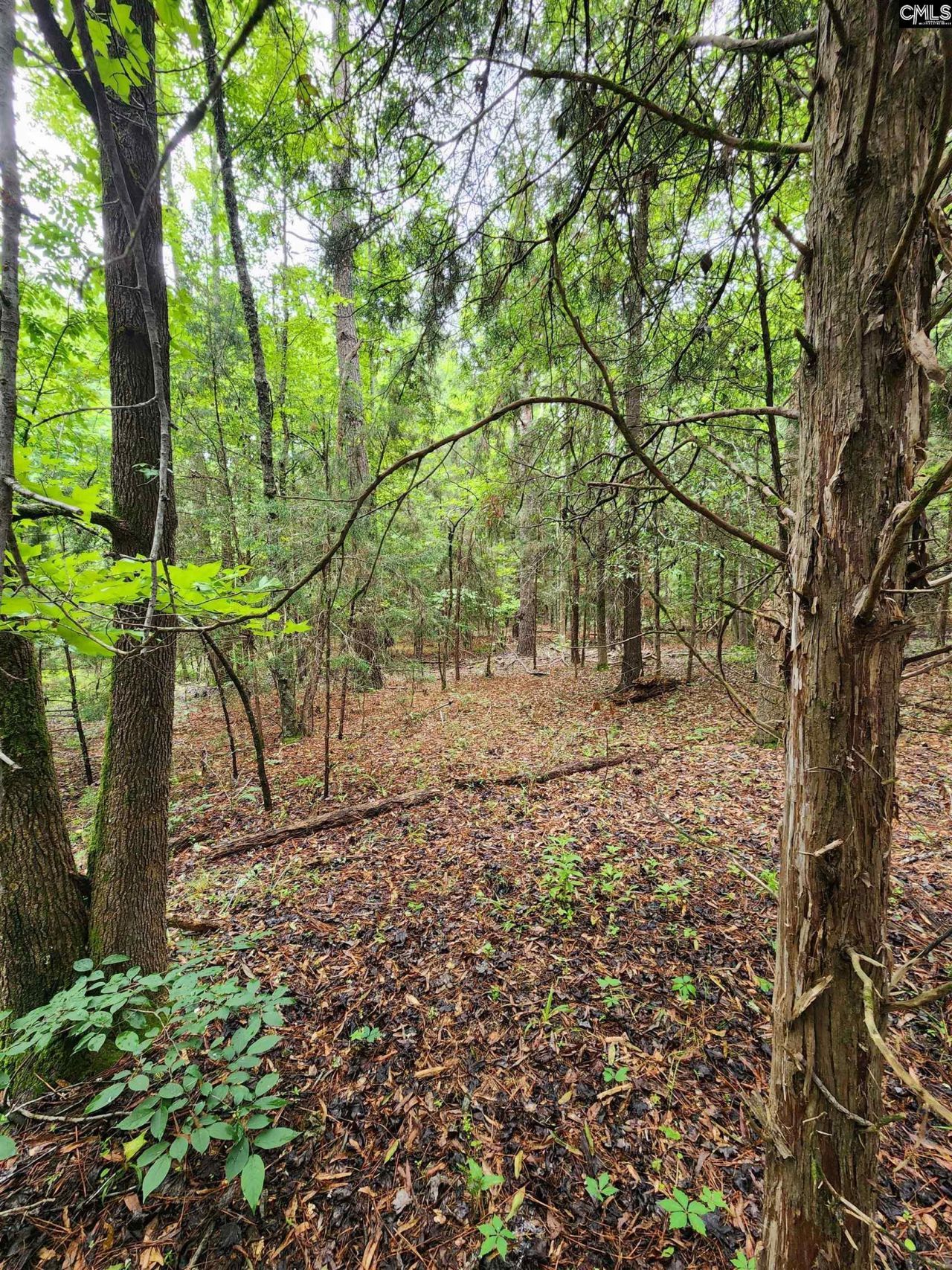 0 Elm Street Photo 11