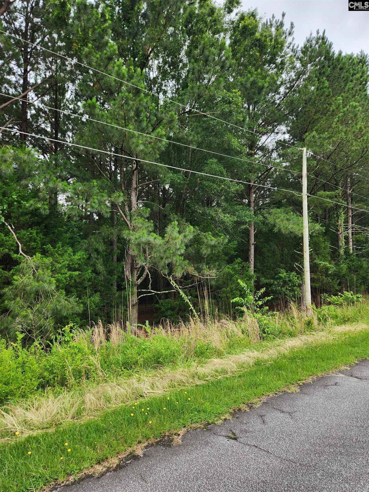 0 Elm Street Photo 13