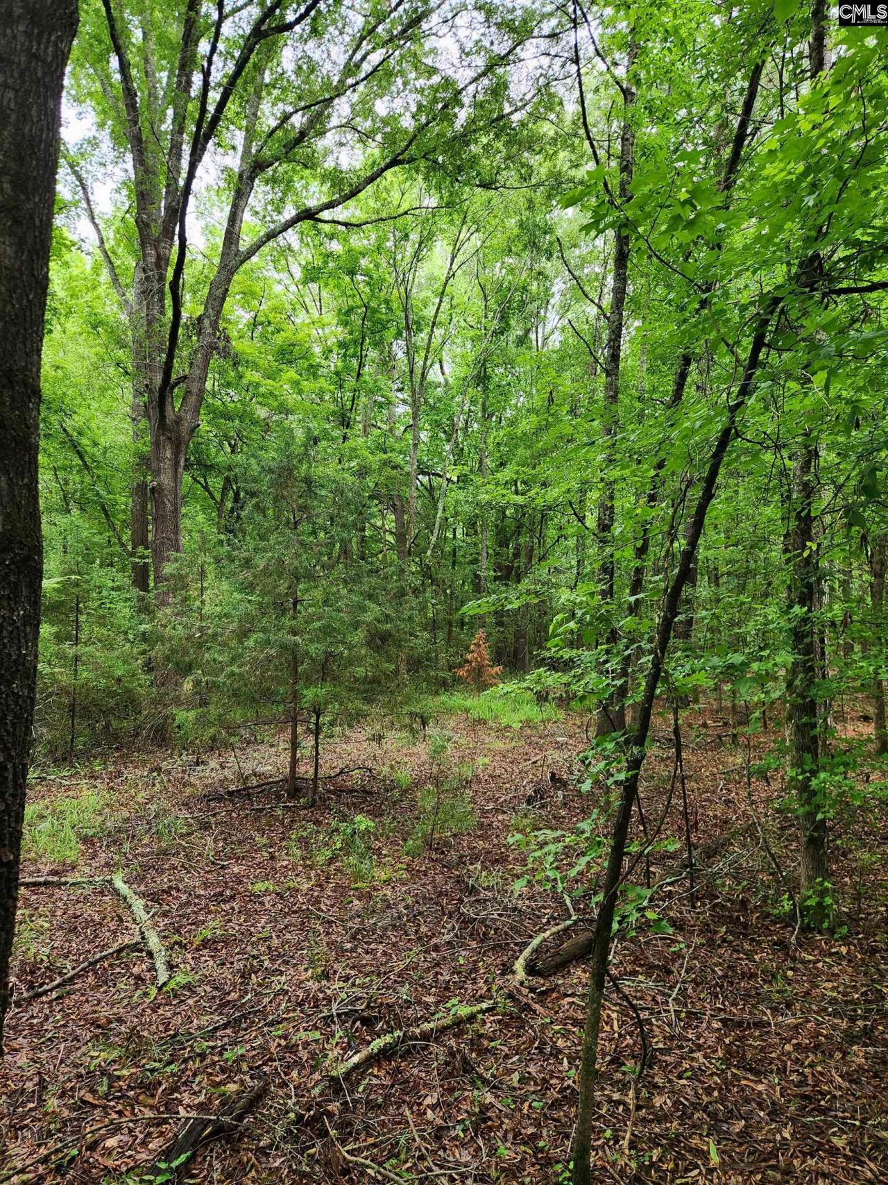 0 Elm Street Photo 15