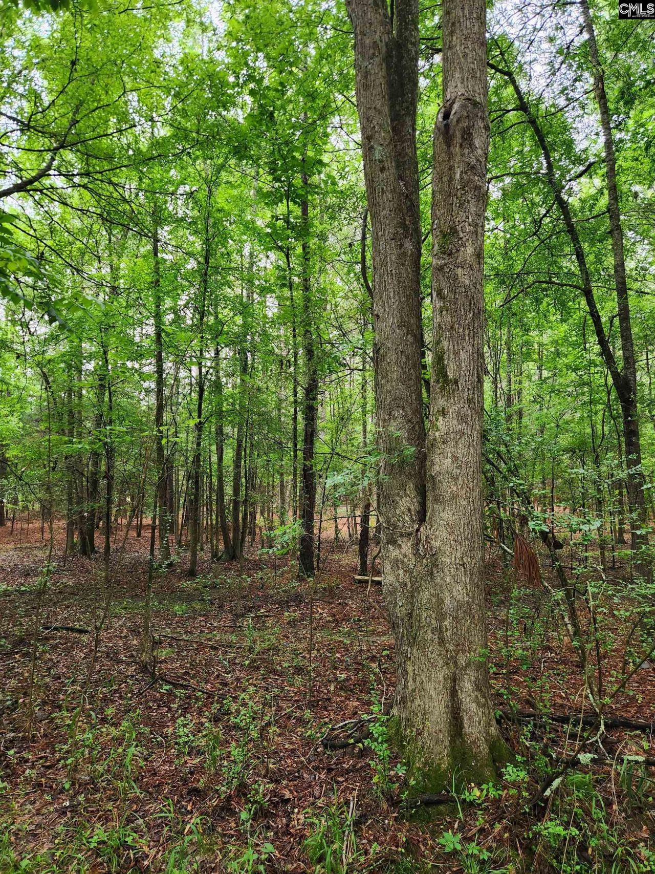 0 Elm Street Photo 17