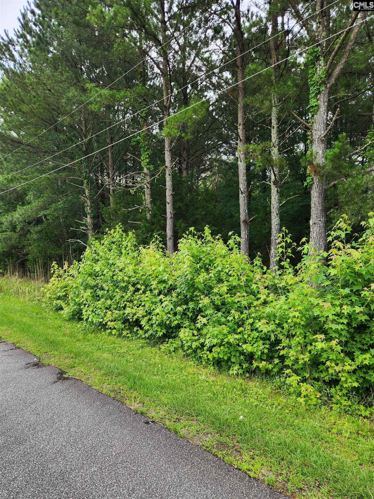 0 Elm Street Photo 19