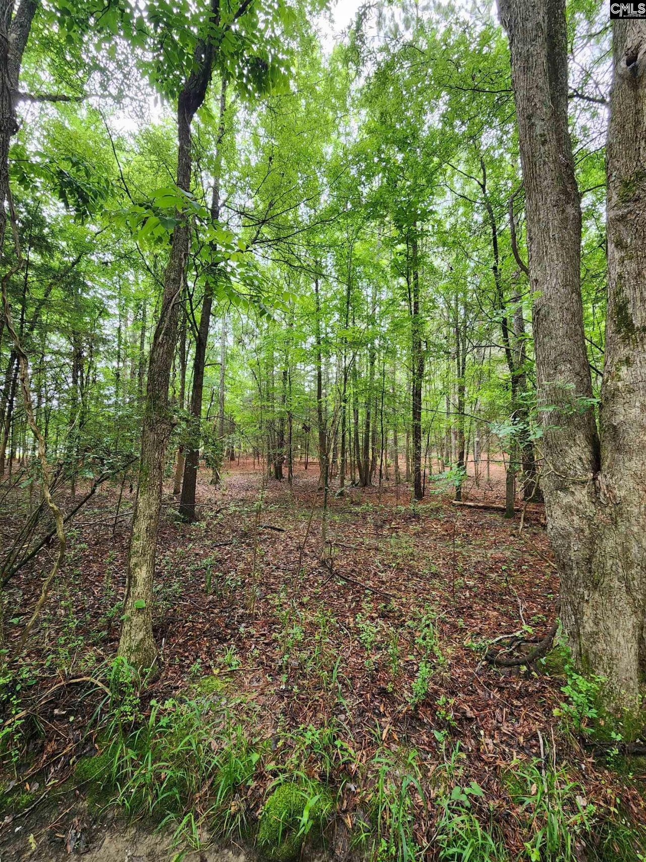 0 Elm Street Photo 20