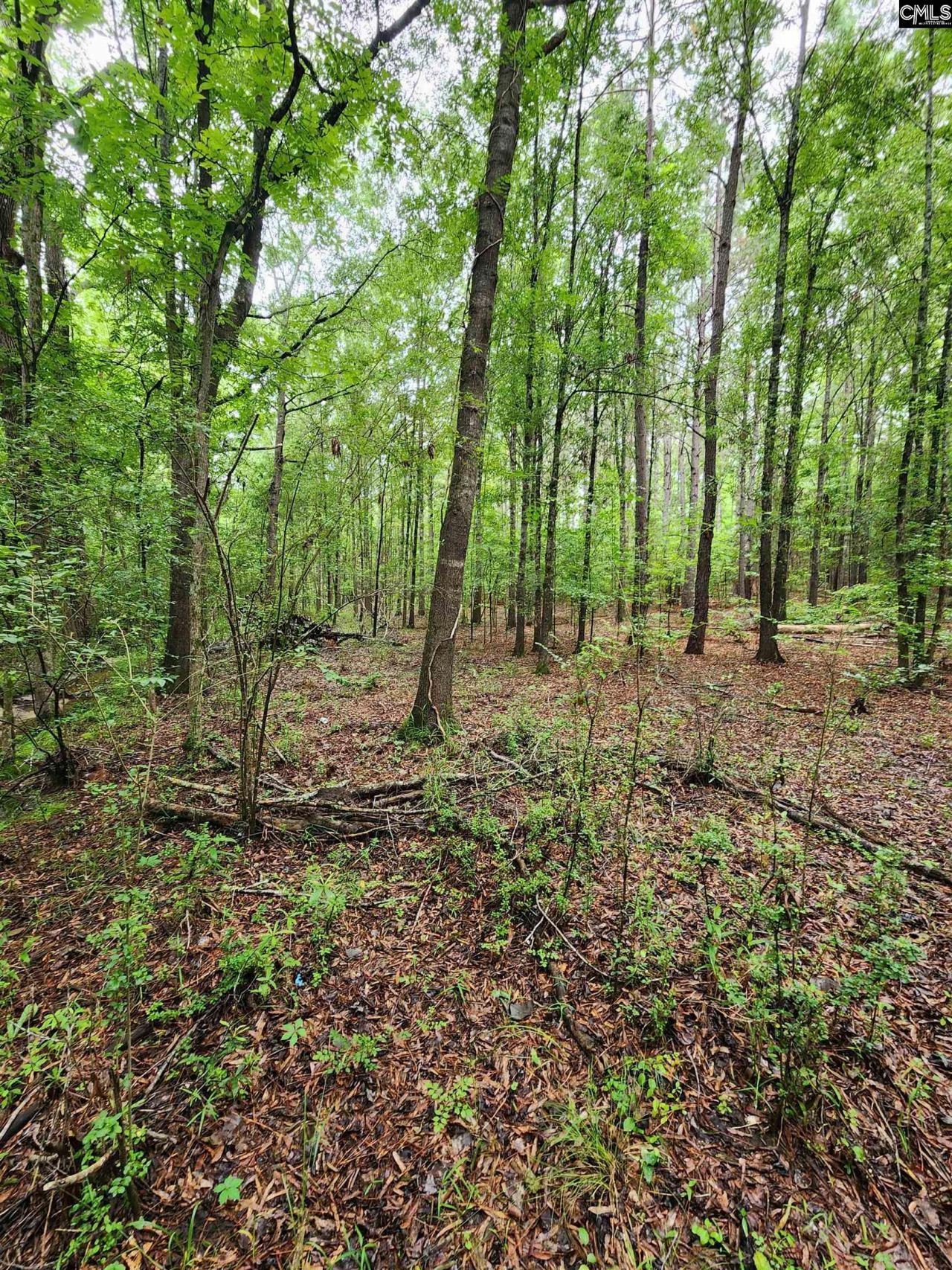 0 Elm Street Photo 21