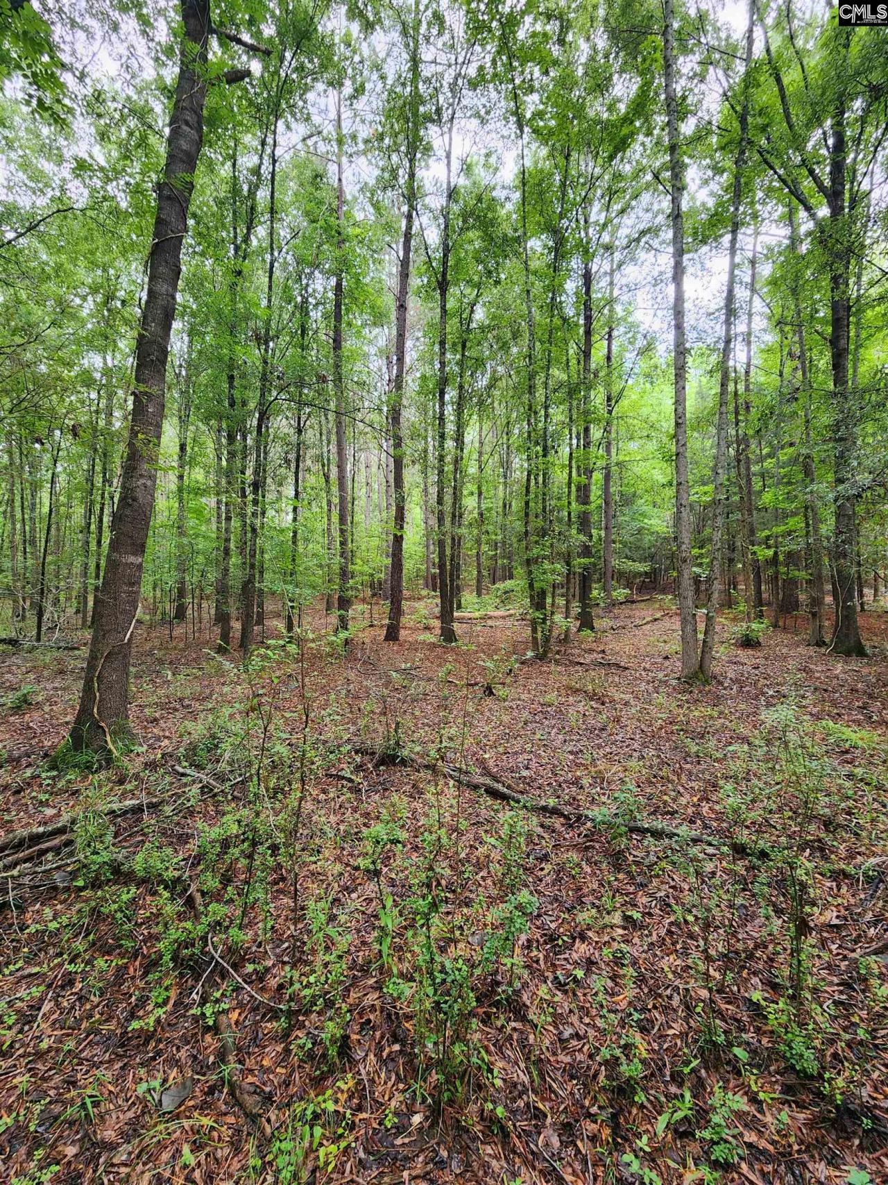 0 Elm Street Photo 22