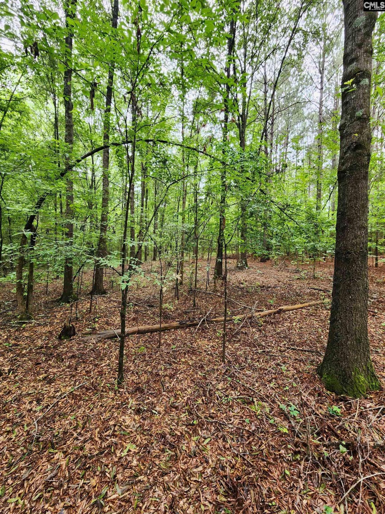 0 Elm Street Photo 23