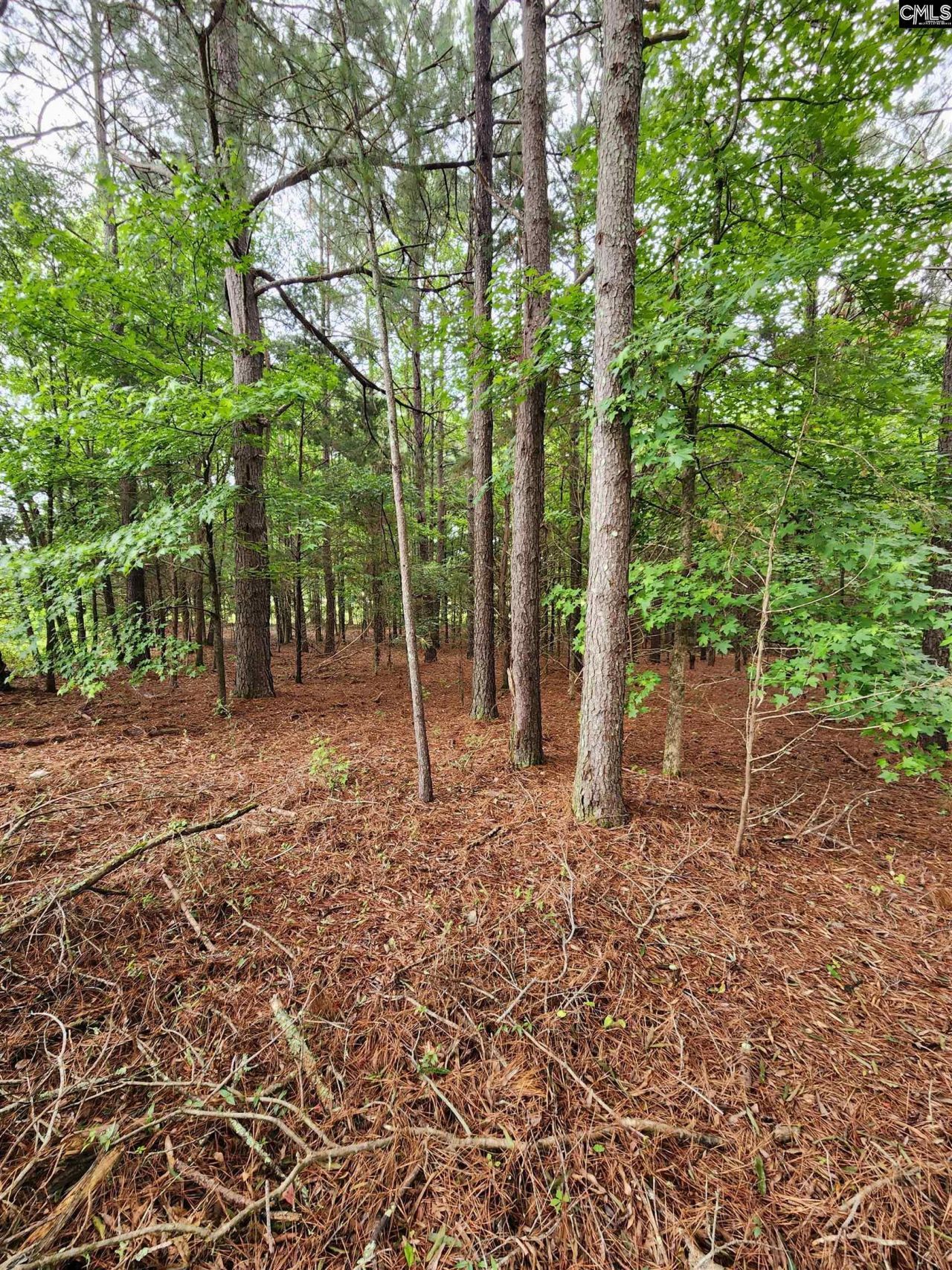 0 Elm Street Photo 4