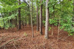 0 Elm Street photo 4