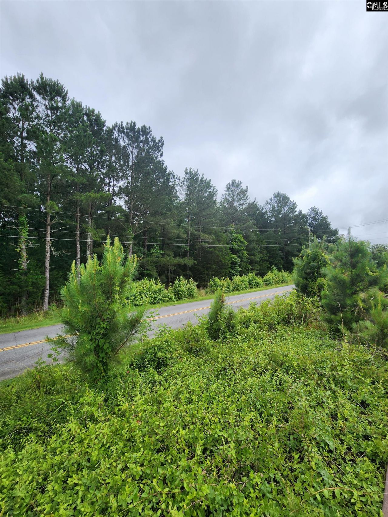 0 Elm Street Photo 6