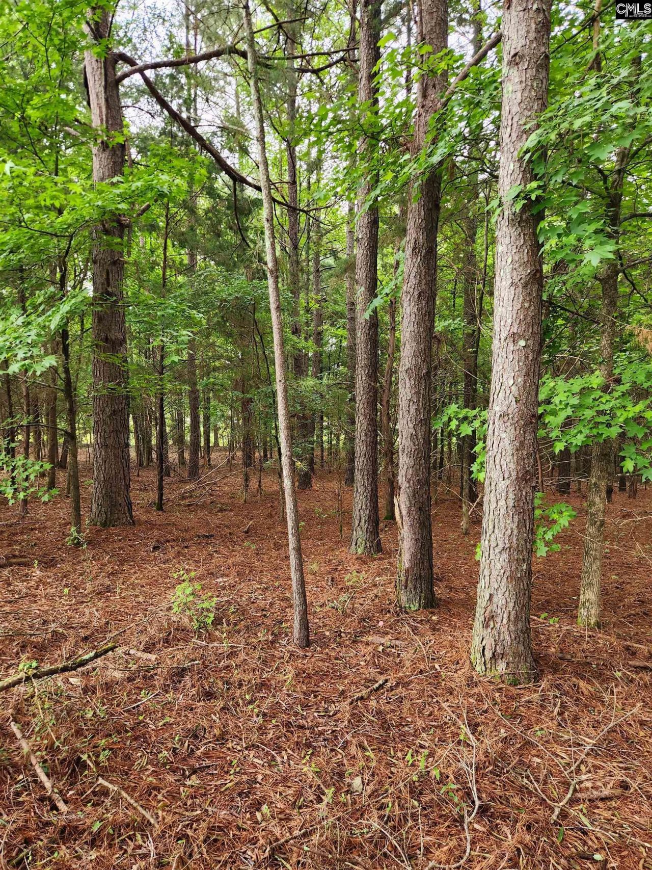 0 Elm Street Photo 7