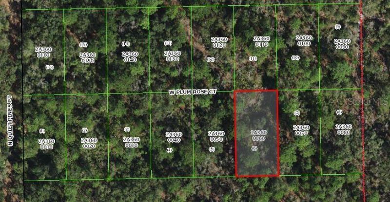 9782 W Plum Rose Court, Crystal River, FL 34429 Main Photo